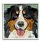 Stupell Industries Bernese Mountain Dog Ephemera Collage Framed Giclee Art